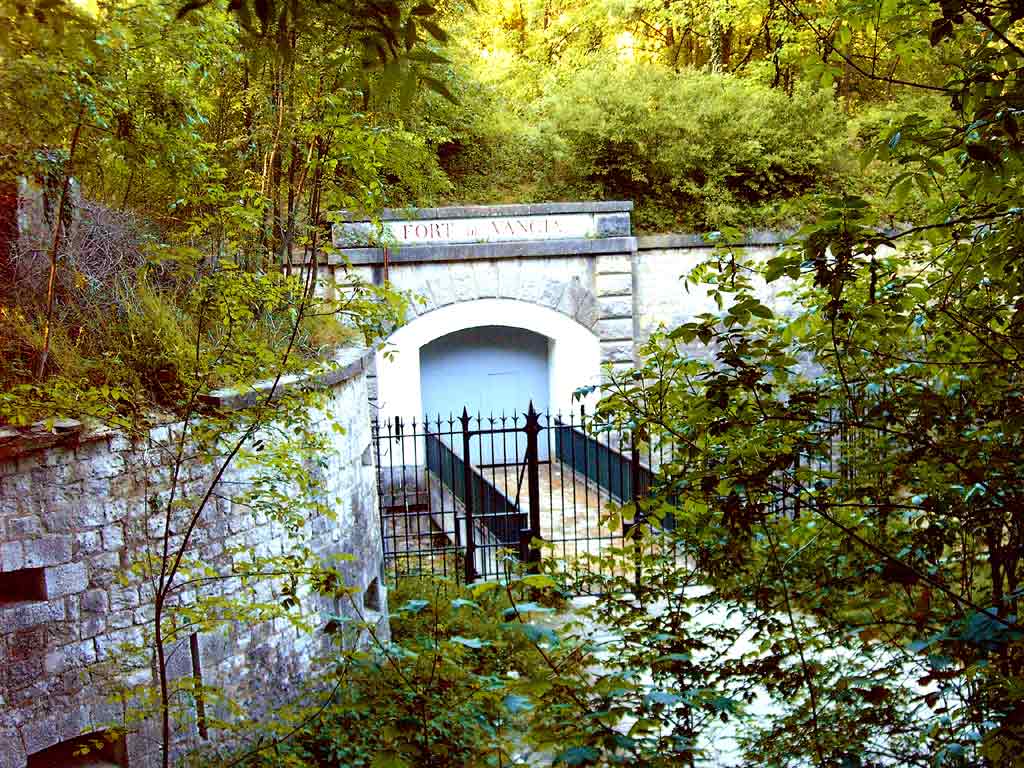 Fort de Vancia  Rillieux la Pape